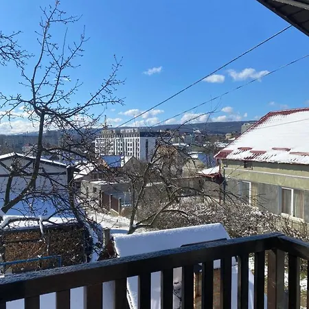 Vila у анютки Truskavec