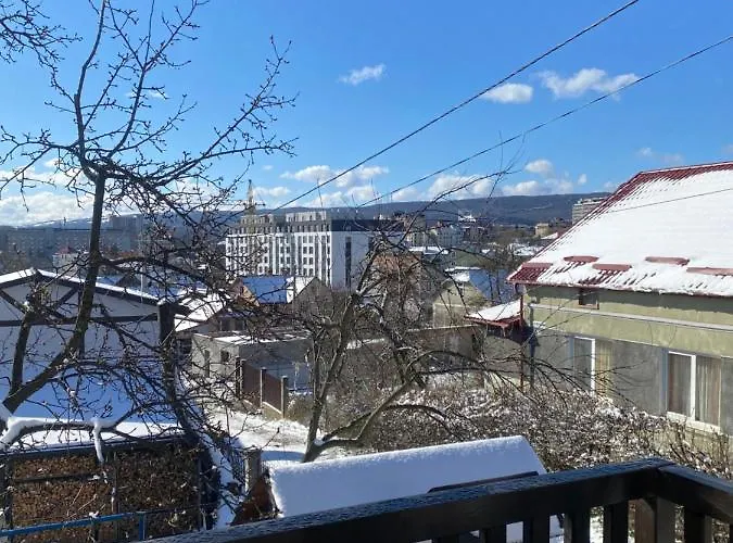 Villa у анютки Truskavets
